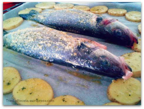 Todos los derechos reservados por Tras La Receta